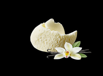 Vanilla Rich & Creamy